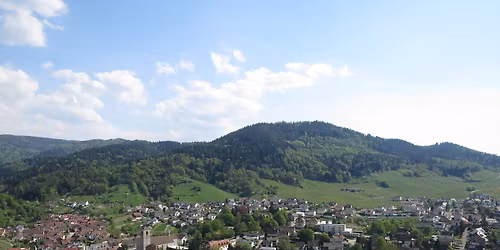 Sportive Runde im Baden-Badener Rebland