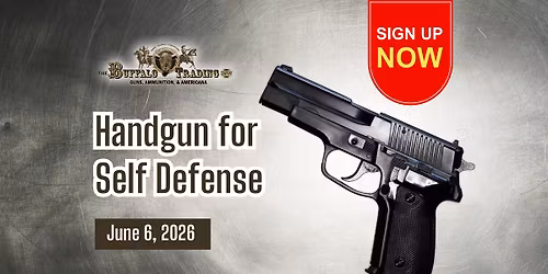 Handgun for Self Defense