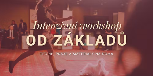 V\u00fdstavy ps\u016f a handling pro za\u010d\u00e1te\u010dn\u00edky