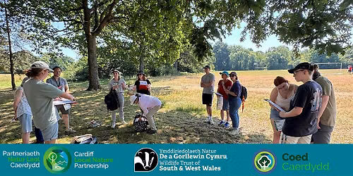 Introduction to summer tree identification with WTSWW & Coed Caerdydd