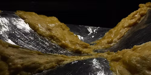 as companions \u2013 Anania R\u00f8de