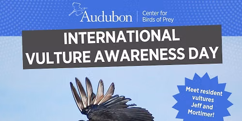 International Vulture Awareness Day