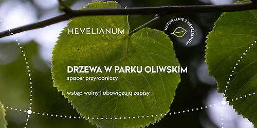 Drzewa w Parku Oliwskim \u2013 spacer przyrodniczy