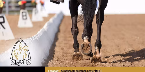 SLADS Summer Solstice Schooling Show 