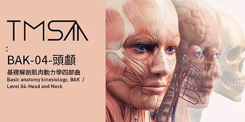 BAK\u57fa\u790e\u89e3\u5256\u808c\u8089\u52d5\u529b\u5b78-LV04-\u982d\u9871\u81c9\u90e8-\u3010\u53f0\u5317\u5834\u3011