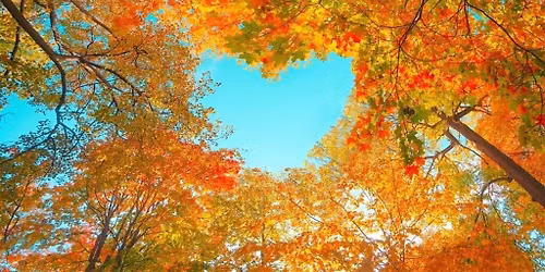 Meditations for a Kind Heart