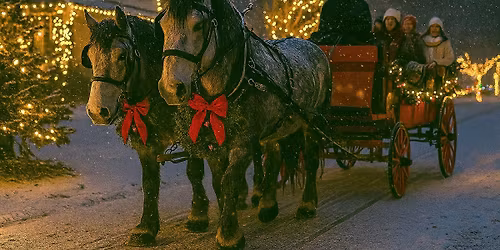 Holiday Carriage Ride with the Percherons