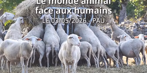 Pau | Le monde animal face aux humains