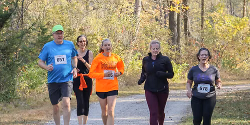 Timber Trot