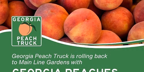 Georgia Peach Truck Stop