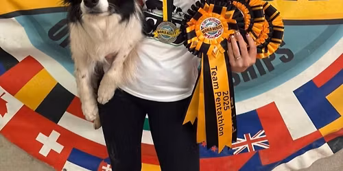 Nicola Wildman agility workshops