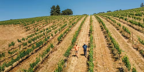 Regenerative Agriculture in Vineyard Management and Development