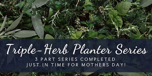 Triple-Herb Planter-SOLD OUT