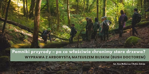 Pomniki przyrody \u2013 po co w\u0142a\u015bciwie chronimy stare drzewa? \u2013 wyprawa z arboryst\u0105 Mateuszem Bilskim