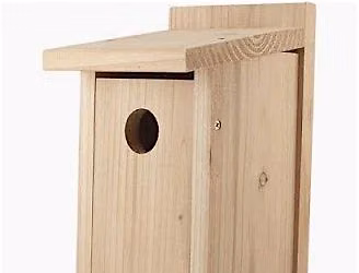 Bluebird Bliss - Build, Learn & Welcome Nature Home