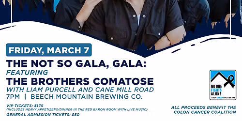The Brothers Comatose at The Commonwealth Room