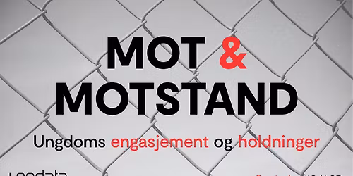 Ungdatakonferansen 2025: Mot og motstand