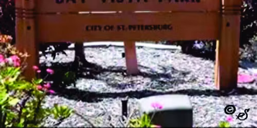 Second Saturday Walk - Bay Vista Park