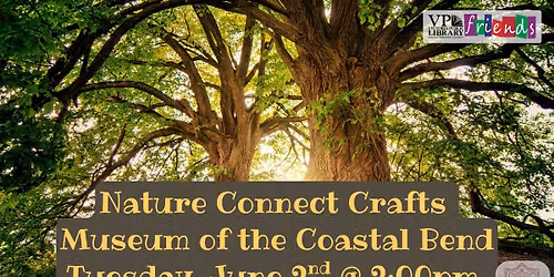 Nature Connect Crafts with the Museum of the Coastal Bend