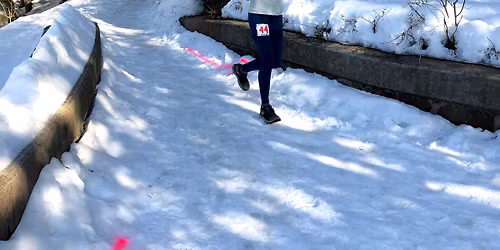 Frozen 4 Hour and 5K