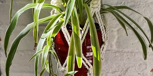 Workshop - Wall mounted plant hanger (Single session)