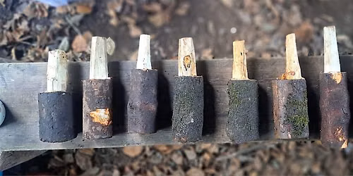 Knife & Needle: TREEcycling