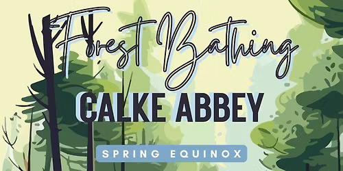 Spring Equinox Forest Bathing at Calke Abbey