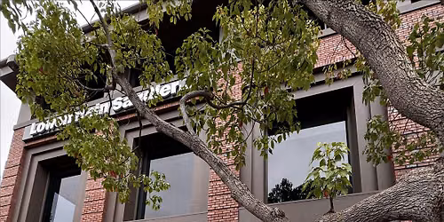 Tour of Downtown Palo Alto's Hidden Public Open Spaces (POPOS)
