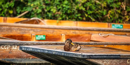 Wild on the Water: Wildlife Photography by Punt