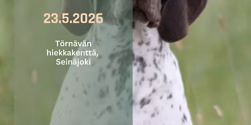 Sein\u00e4joki ryhm\u00e4n\u00e4yttely 23.5.2026