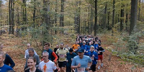 L\u00d8BEREN Skovmaren 2025