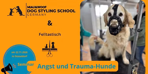 Angst und Trauma-Hunde im Salon