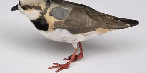 Papier Mache Bird Workshop