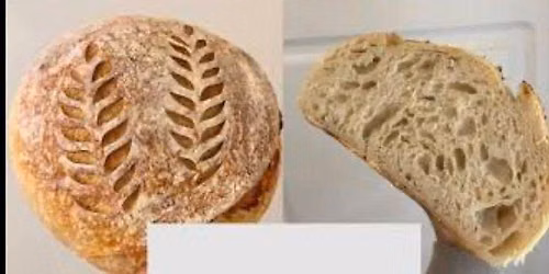 Beginners Sour Dough Class\u2026 Night of the living bread