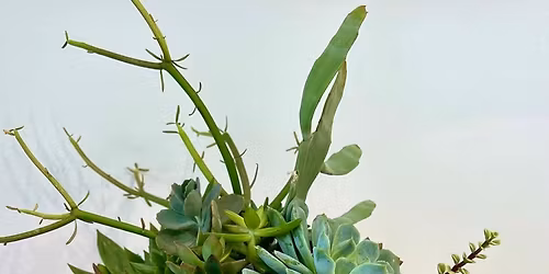 Thanksgiving Centerpiece Pumpkin