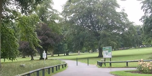 Wellbeing Walk at  Manor Heath Park