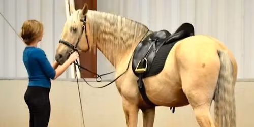 French Classical Riding With Pippa Callanan 