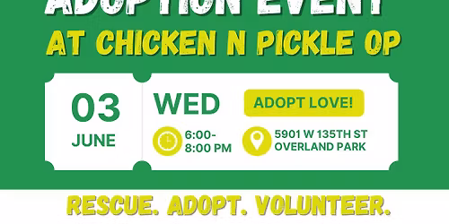 June Adoption Event at Chicken N Pickle OP