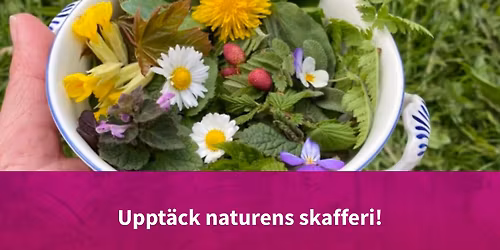 Vandrande f\u00f6rel\u00e4sning: \u00c4tliga \u00f6rter och v\u00e4xter
