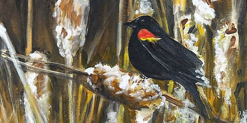 Red-winged Blackbird Among Cattails | Cheryl Bielli, instructor