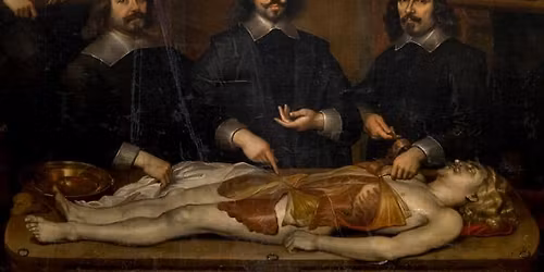 5th Edition Vesalius Continuum - 32nd AEIMS Conference