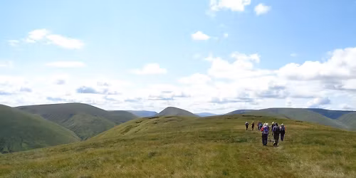 Wild on a Hill in The Howgills