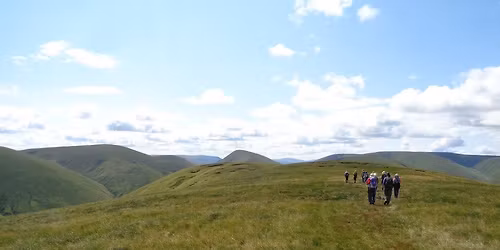 Wild on a Hill in The Howgills