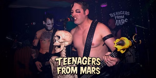 Teenagers From Mars - Misfits Tribute Band