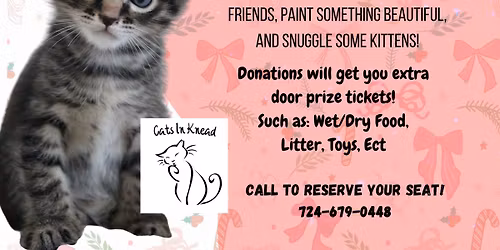 Painting with our Kitten Friends at Cats In Knead
