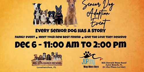 Senior Dog Adoption Event