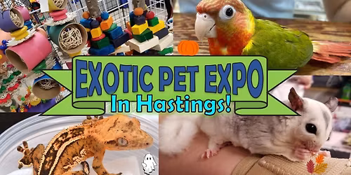 Hastings Exotic Pet Expo!
