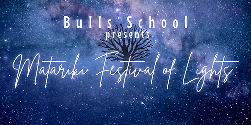 Matariki Festival of Lights Bulls School