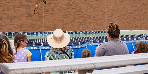 DockDogs\u00ae at Dog Days of Summer | Minot ND