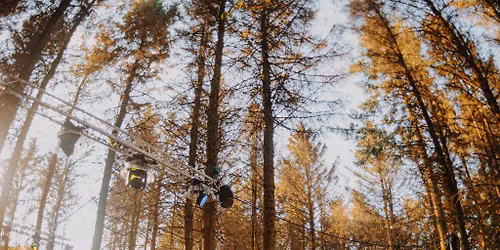 Woodland Dance Project - Edinburgh 2027
